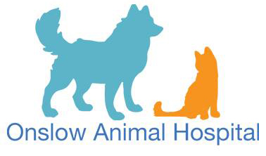 Onslow Anima Hospital